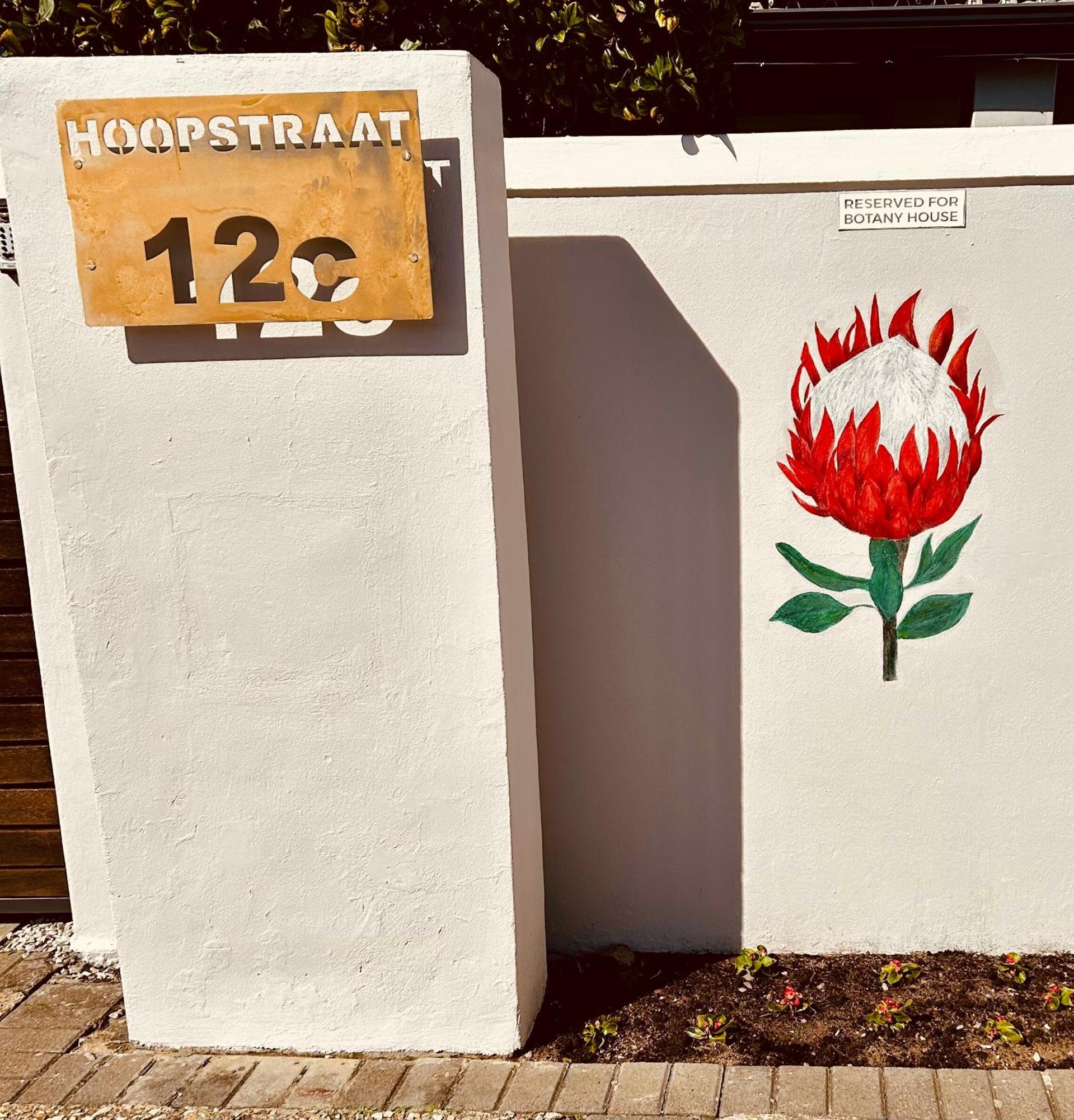 Botany House, In The Heart Of Hermanus Villa Kültér fotó